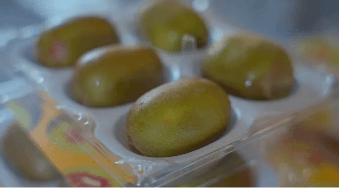 2121非凡·(中国集团)体育官方网站