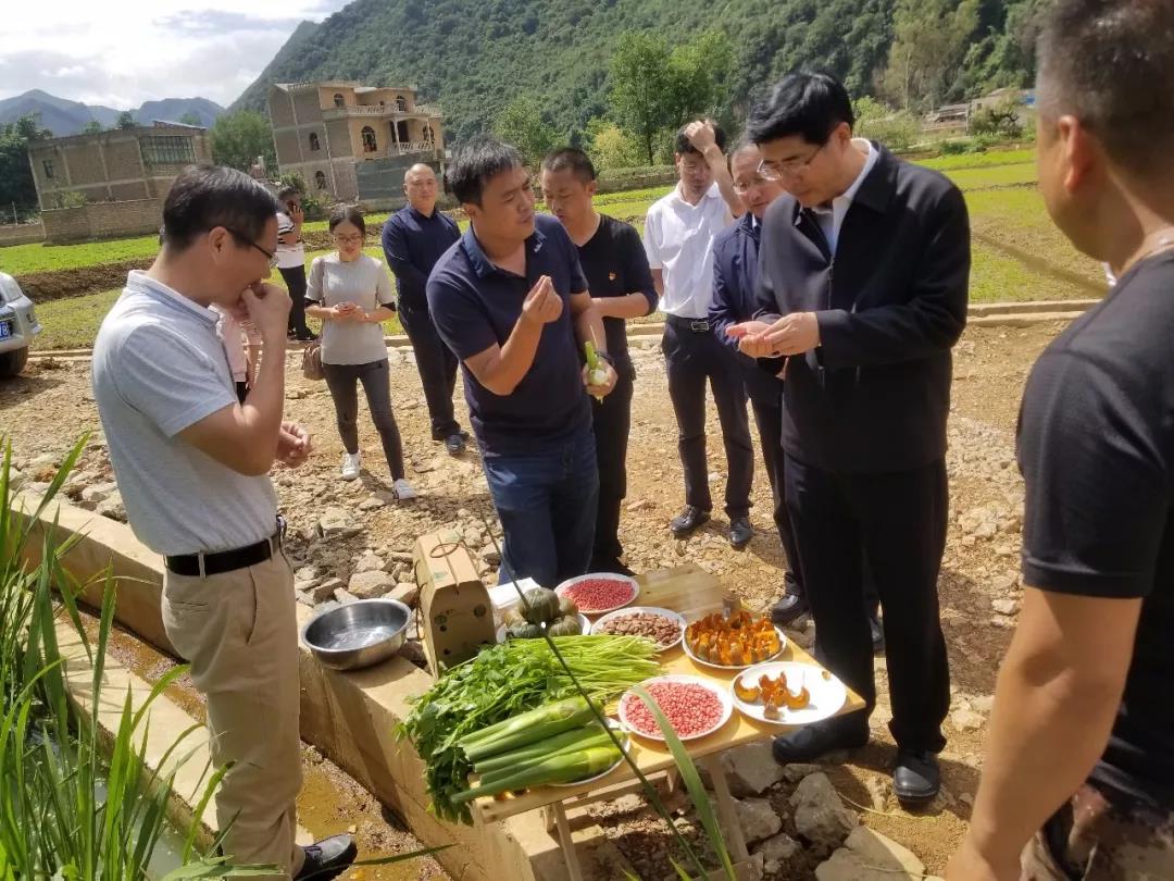 2121非凡·(中国集团)体育官方网站