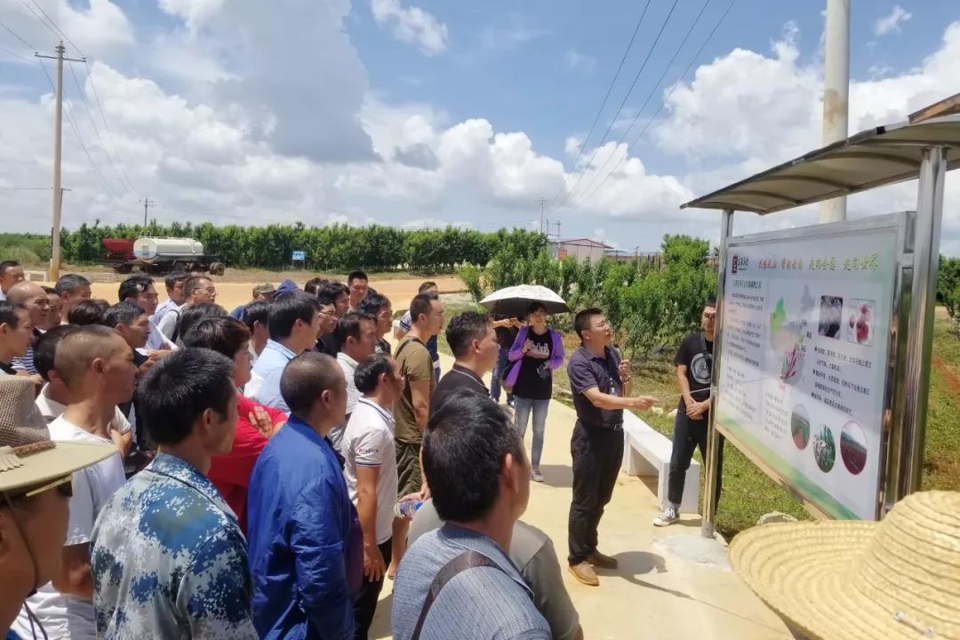 2121非凡·(中国集团)体育官方网站