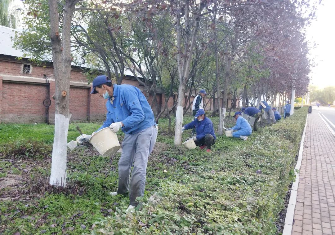 2121非凡·(中国集团)体育官方网站